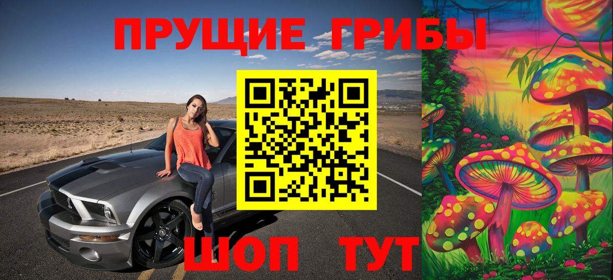 Нижний Новгород  Псилоцибиновые грибы GOLDEN TEACHER  Псилоцибиновые грибы прущие грибы  Вход с VPN 